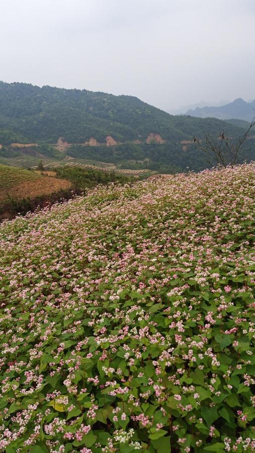 Hotel Cao Nguyen Đồng Văn Esterno foto